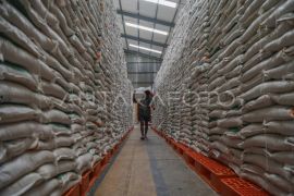 Cadangan beras nasional capai 4,5 juta ton