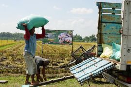 Sektor pertanian-kehutanan sumbang PDRB Madiun Rp27,48 M pada 2025