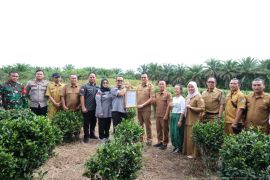 Kanwil Kemenkum Babel serahkan sertifikat IG Teh Tayu Jebus