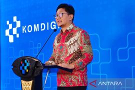 Kemkomdigi investigasi kejanggalan rating IGRS di platform Steam