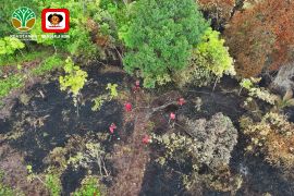 Empat regu Manggala Agni dikerahkan padamkan karhutla di Bengkalis, satu BKO Pekanbaru