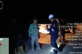 Harimau sumatra muncul di areal PT PHR Lapangan Duri, aumannya terdengar