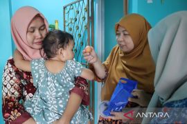 BKKBN Babel tingkatkan kualitas keluarga turunkan tengkes