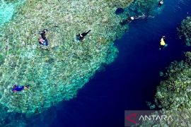 Indonesia perkuat kolaborasi global dalam perlindungan laut lepas