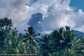PGA sebut Aktivitas Gunung Dukono mulai menurun