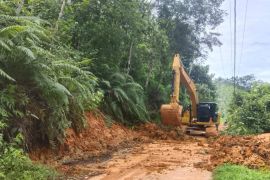 Gerak cepat Pemkab di Sembilan Koto: akses sudah dapat dilalui,listrik nyala kembali