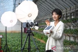 China rilis pedoman untuk pengembangan e-commerce berkualitas tinggi