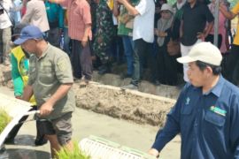 Pemkab Maluku Tengah buka irigasi Samal dukung musim tanam