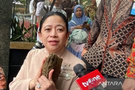 Harga plastik naik, Puan Maharani ajak UMKM beralih ke kemasan kearifan lokal