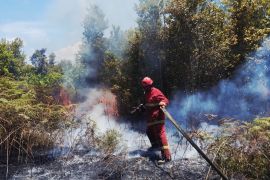 BPBD Natuna catat sebanyak 339 hektare karhutla sepanjang Maret 2026