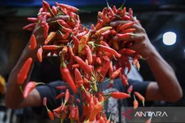 PIHPS: Harga cabai rawit merah Rp86.150/kg, daging ayam Rp42.050/kg