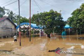 Hujan lebat dua hari, empat desa di Aceh Barat terendam banjir