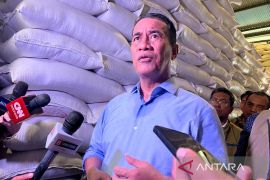 Pemerintah tetapkan HPP gabah petani bertahan Rp6.500 per kilogram