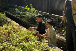 Sekretariat DPRD menggelar Operasi Semut dukung Gerakan Indonesia ASRI