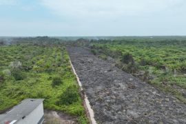 Pelaku karhutla di Hutan Samak Rupat Utara ditangkap polisi