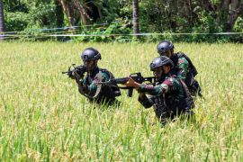 Danbrigif 2 Marinir evaluasi taktik tempur prajurit di Situbondo