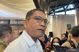 DEN: Konversi PLTD ke PLTS sejalan dengan pengembangan energi bersih