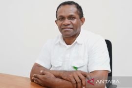 BBKSDA terima pengiriman kembali 7.639 kura-kura moncong babi ke Timika