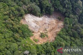 Bappenas sebut Sumbar kehilangan 6,6 ribu hektare kawasan hutan