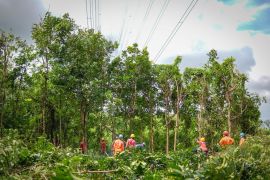 Listrik aman selama Idulfitri, PLN sukses amankan jalur transmisi strategis