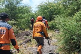 SAR gabungan masif cari penggembala hilang di TN Baluran