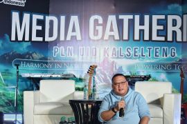 PLN-ANTARA Kalsel perkuat sinergitas sebarkan informasi kelistrikan kepada masyarakat