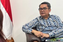 Komnas HAM dorong layanan kesehatan gratis di kawasan nikel Morowali