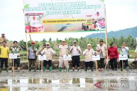 Wagub Gorontalo turun menanam di  lokasi cetak sawah rakyat