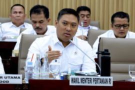 Wamentan Dorong Pengetatan Impor dan Penguatan Hilirisasi Gula