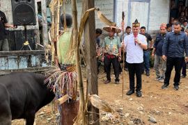 Tiwah mandiri wujud kesadaran masyarakat Gumas lestarikan warisan budaya