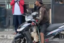 Polresta Mataram tangani kasus penganiayaan anjing liar
