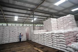 Wamentan sebut RI siap ekspor 1,5 juta ton pupuk saat Hormuz ditutup