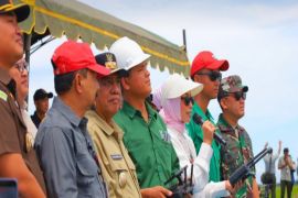 Pemkab Tala gelar tanam serempak 10.000 hektare di Panyipatan