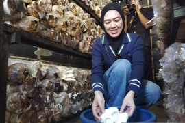 PLN-LKBN ANTARA Kalteng perkuat kolaborasi penyebaran informasi kelistrikan