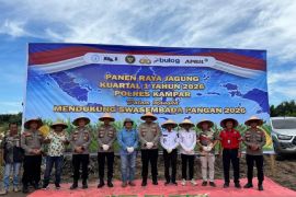Panen Raya Jagung di Kampar, Sinergi Polres Kampar dan Dunia Usaha Perkuat Swasembada Pangan