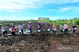 Kotim tanam padi serentak 284 hektare di lahan Cetak Sawah Rakyat