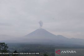 Gunung Semeru empat kali erupsi pada Kamis