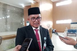 Pemkab Belitung perkuat perlindungan dan pelestarian penyu