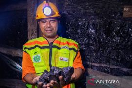 PTBA perkuat infrastruktur logistik dukung efisiensi dan daya saing