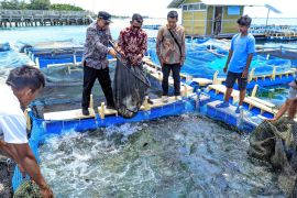Wabup Kep Seribu ajak masyarakat tingkatkan kesadaran ekologis