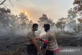 Kubu Raya perkuat antisipasi karhutla hadapi El Nino