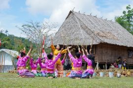 Program PPM PT Timah sentuh pendidikan dan lingkungan