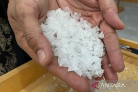 Pemkab Cirebon merancang program inkubator bisnis berbasis TI bantu UMKM