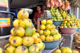 Pemkab Sumedang mendorong komoditas mangga dan cabai di program HDDAP