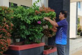 Setwan Batola: Jumat Bersih bentuk komitmen tingkatkan semangat kerja di tengah WFH
