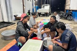 Pemkab Berau dan YKAN penuhi benih udang lewat pelibatan siswa SMK