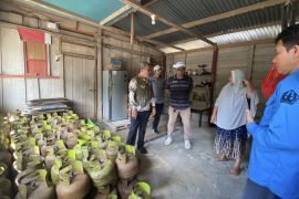 Pemkab Kolut batasi pembelian LPG 3 kg guna cegah kelangkaan