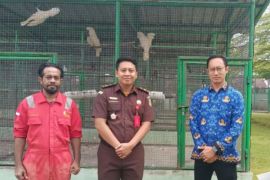 BKSDA terima empat satwa jenis kakatua hasil penegakan hukum perdagangan ilegal