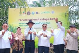 Kementan dan Gapki kenalkan serangga penyerbuk terbaru kelapa sawit