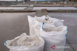 Pemkab Buol kembangkan sentra garam lokal optimalkan potensi daerah